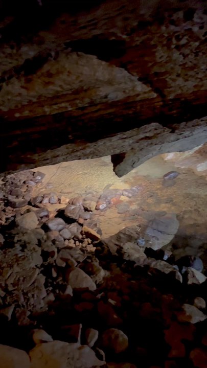 Forbidden Caverns - Underground river - Tours Near Me - Sevierville, Tennessee