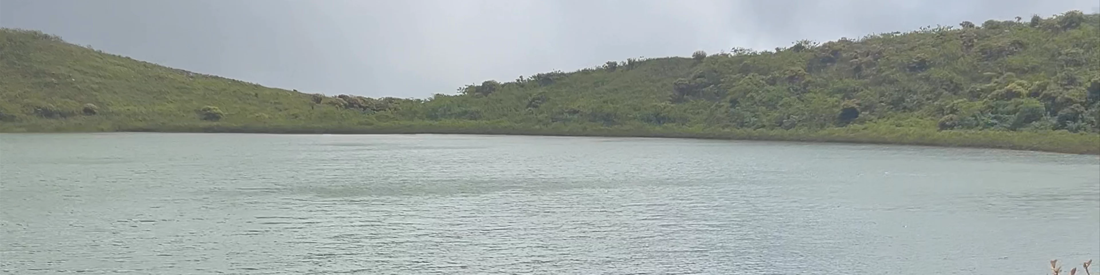 Laguna El Junco