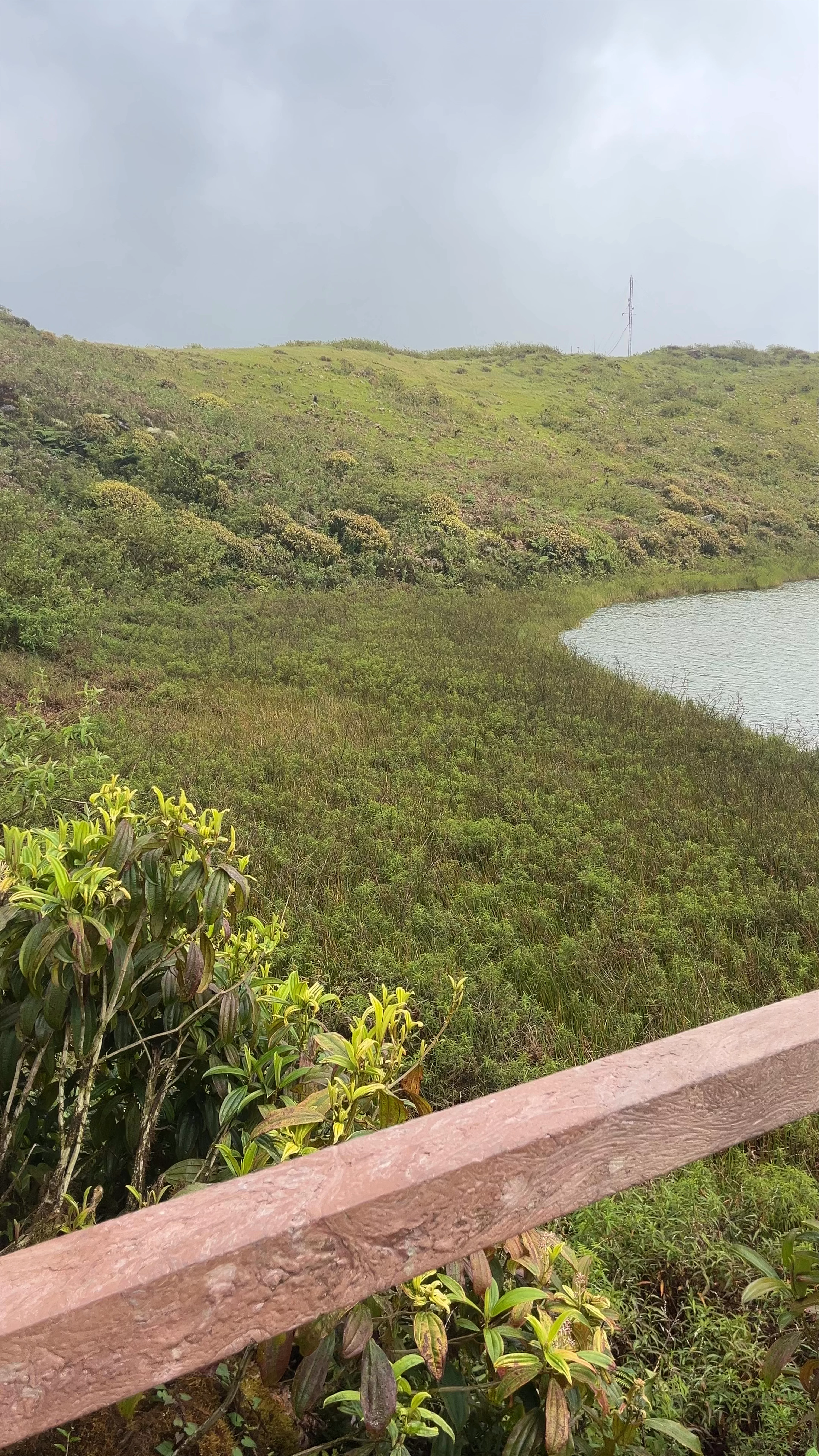 Laguna El Junco