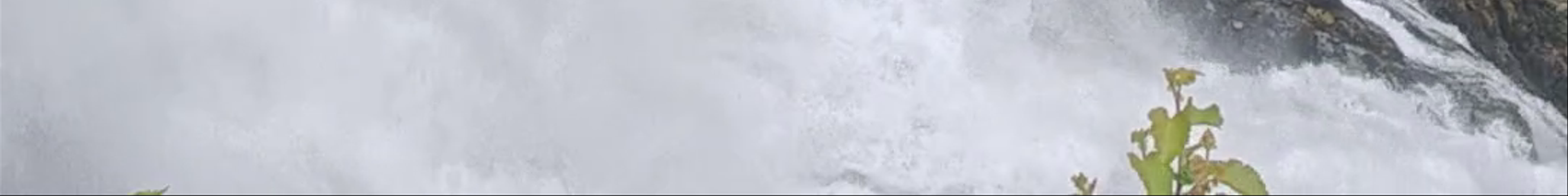 Tours & experiences in Sogn og Fjordane