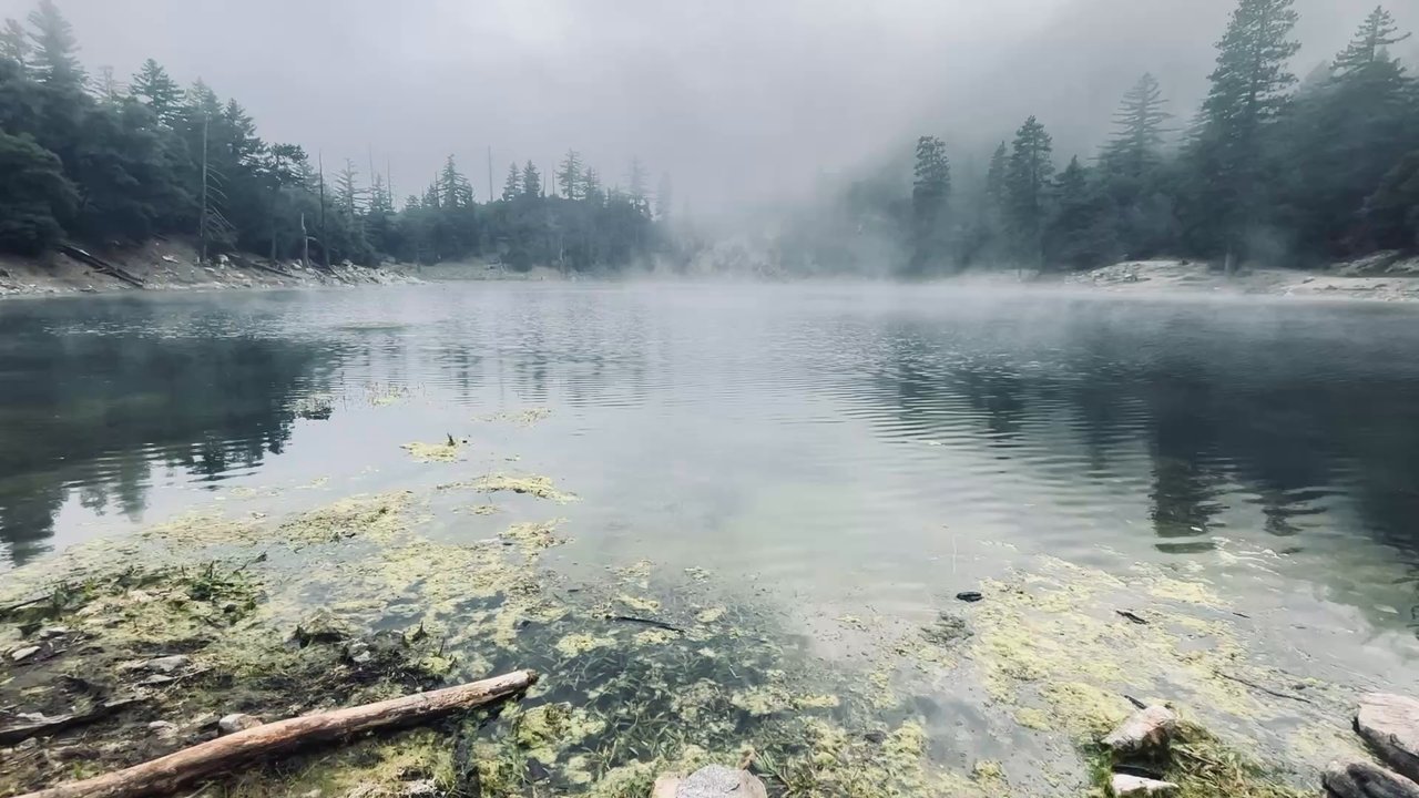 Crystal Lake - A beautiful look at the lake right up on it. - Parks Near Me - Azusa, California