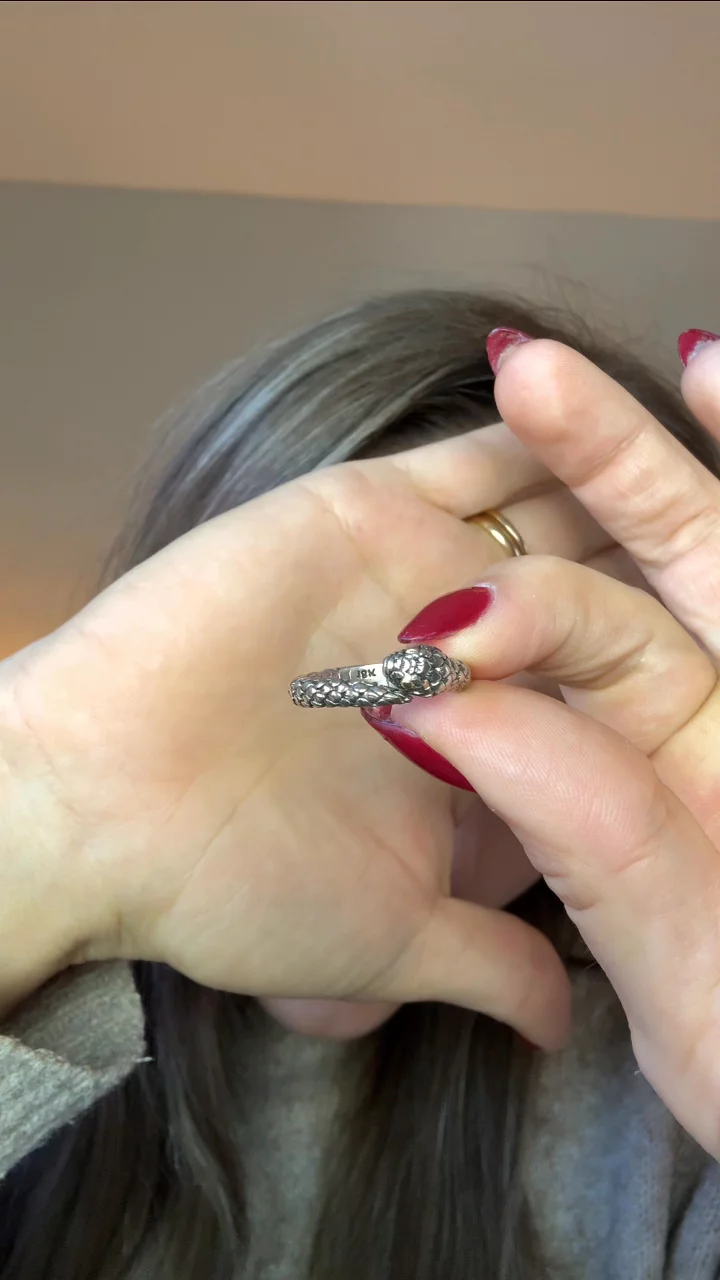 Thumbnail image for video