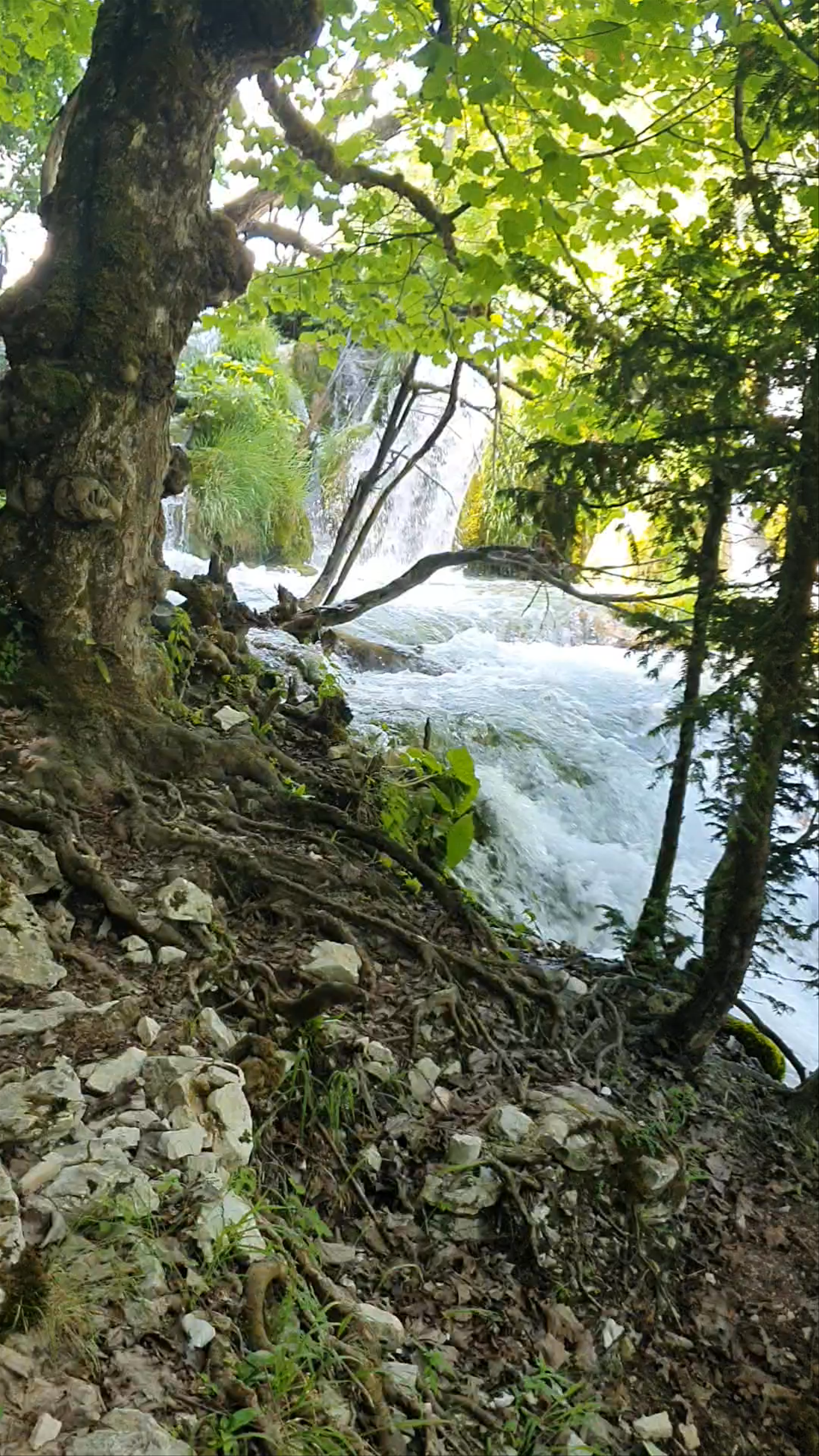 Plitvice Lakes National Park