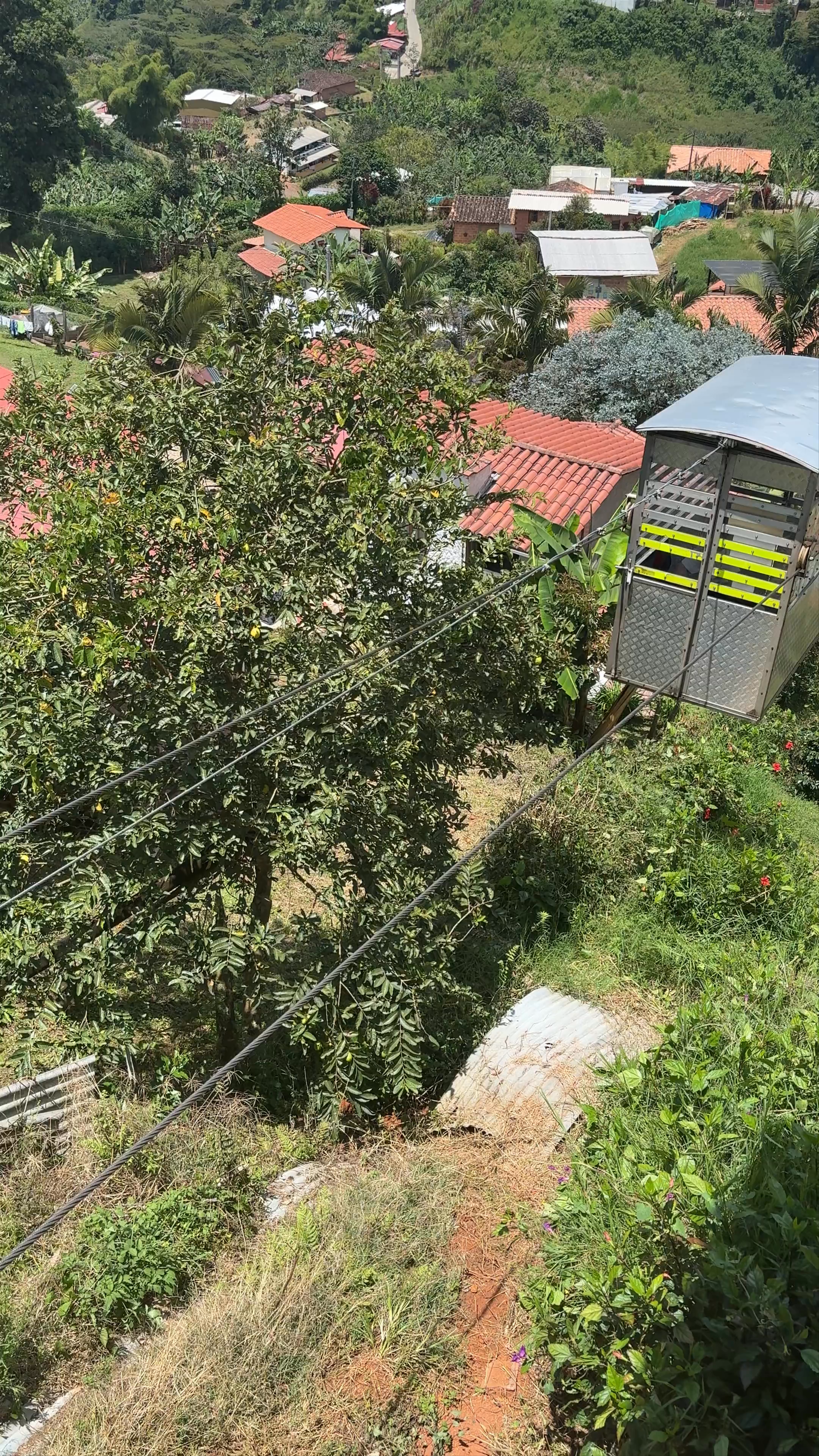Estadero la Garrucha