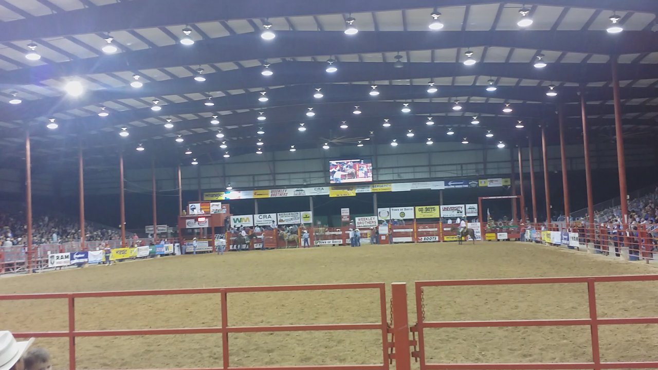 DAVIE PRO RODEO - Updated July 2026 - 13 Photos & 13 Reviews - 4201 ...