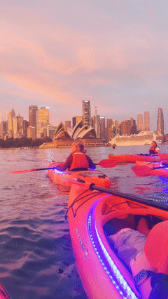 Sydney Kayaking Tour