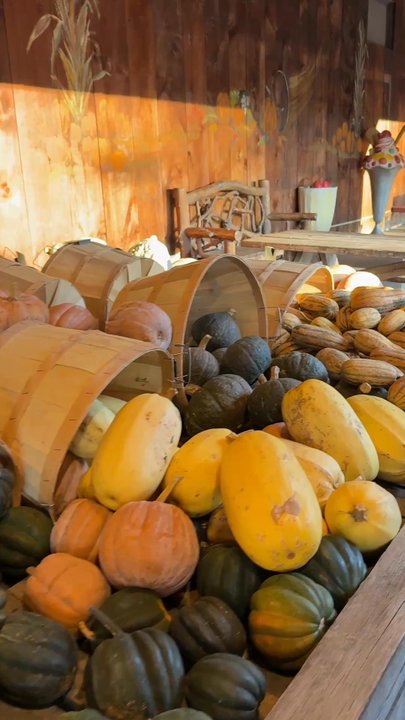 Mack's Apples - Fruits & Veggies Near Me - Londonderry, New Hampshire