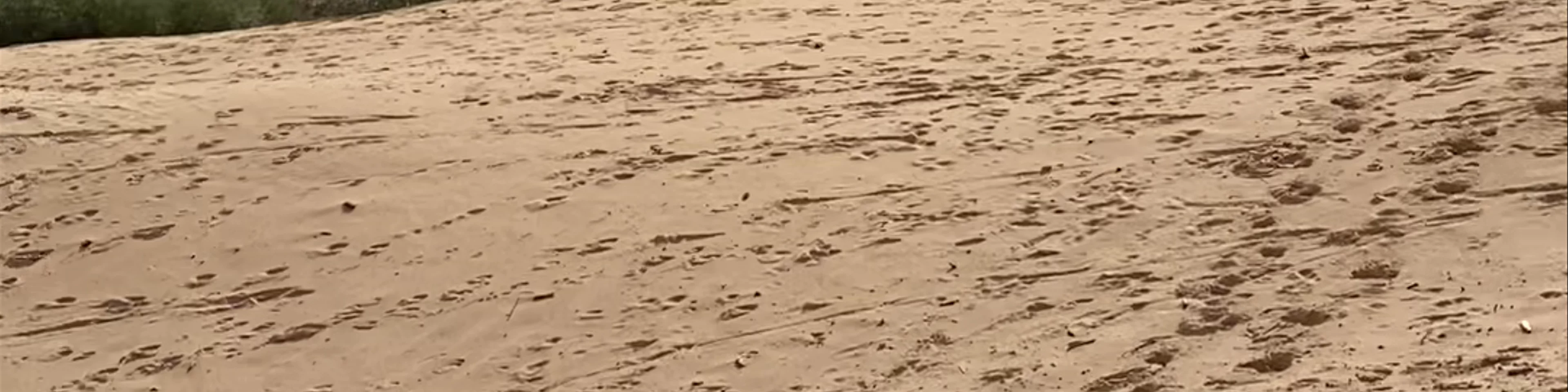 Playa Bolonia