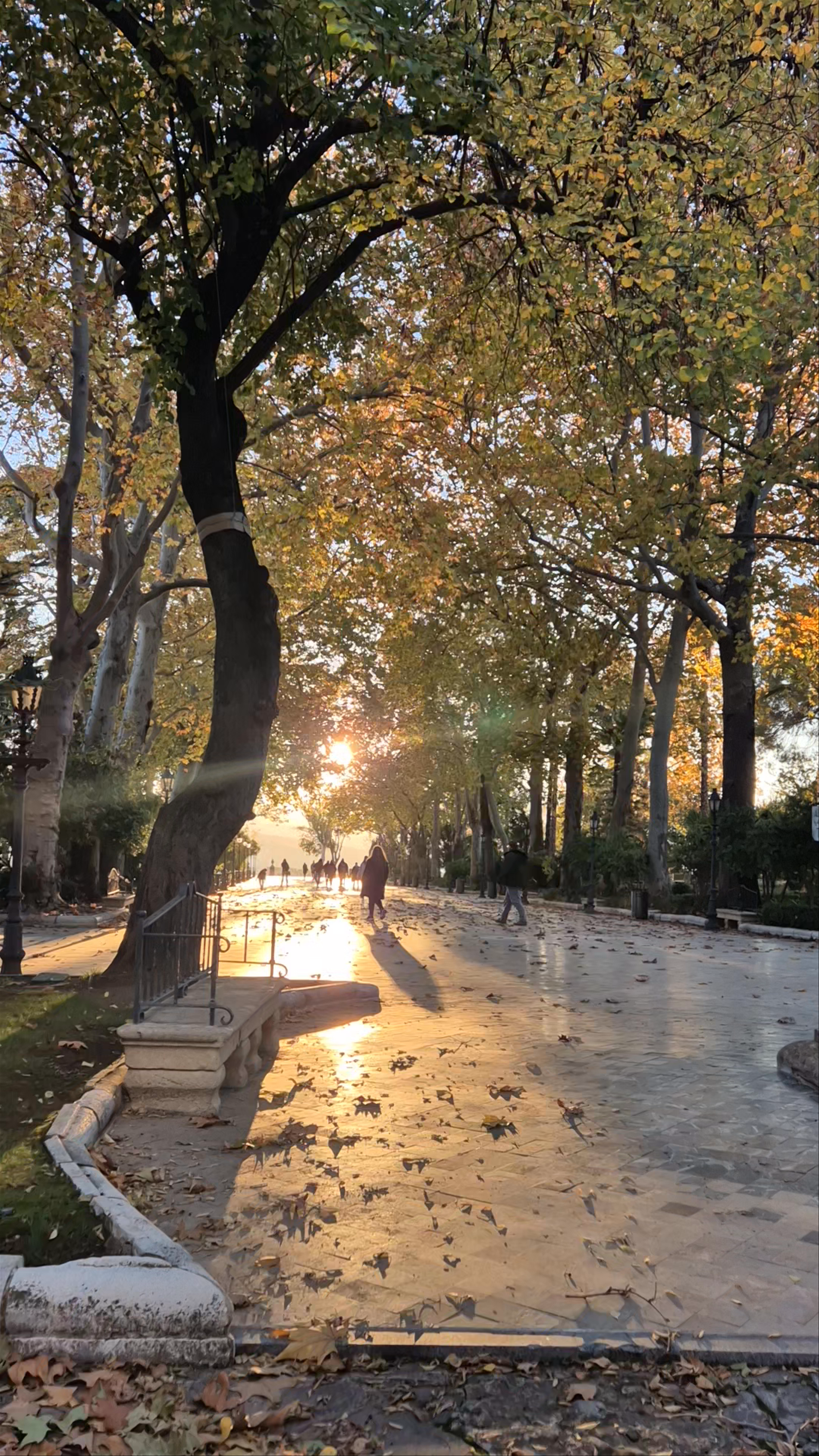Paseo de Blas Infante