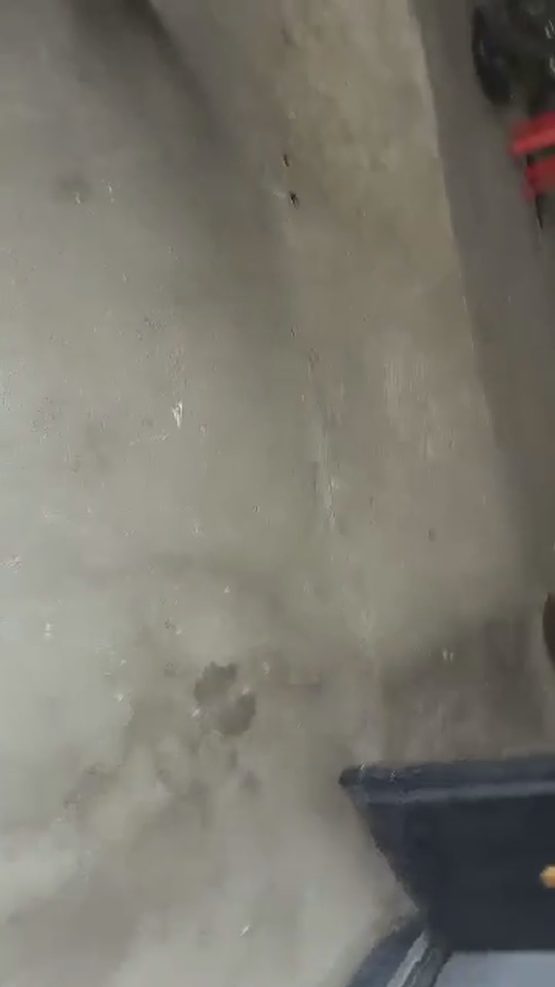 Walk-around video thumbnail