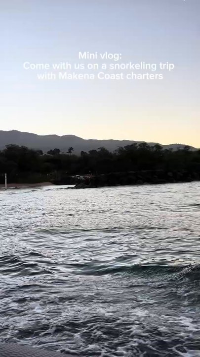 Makena Coast Charters - A recent guest review of Molokini Crater + Turtle Town Snorkel Tour. Depending on the season, you can spot whales, dolphins, or monk seals. - Boat Charters Near Me - Kihei, Hawaii