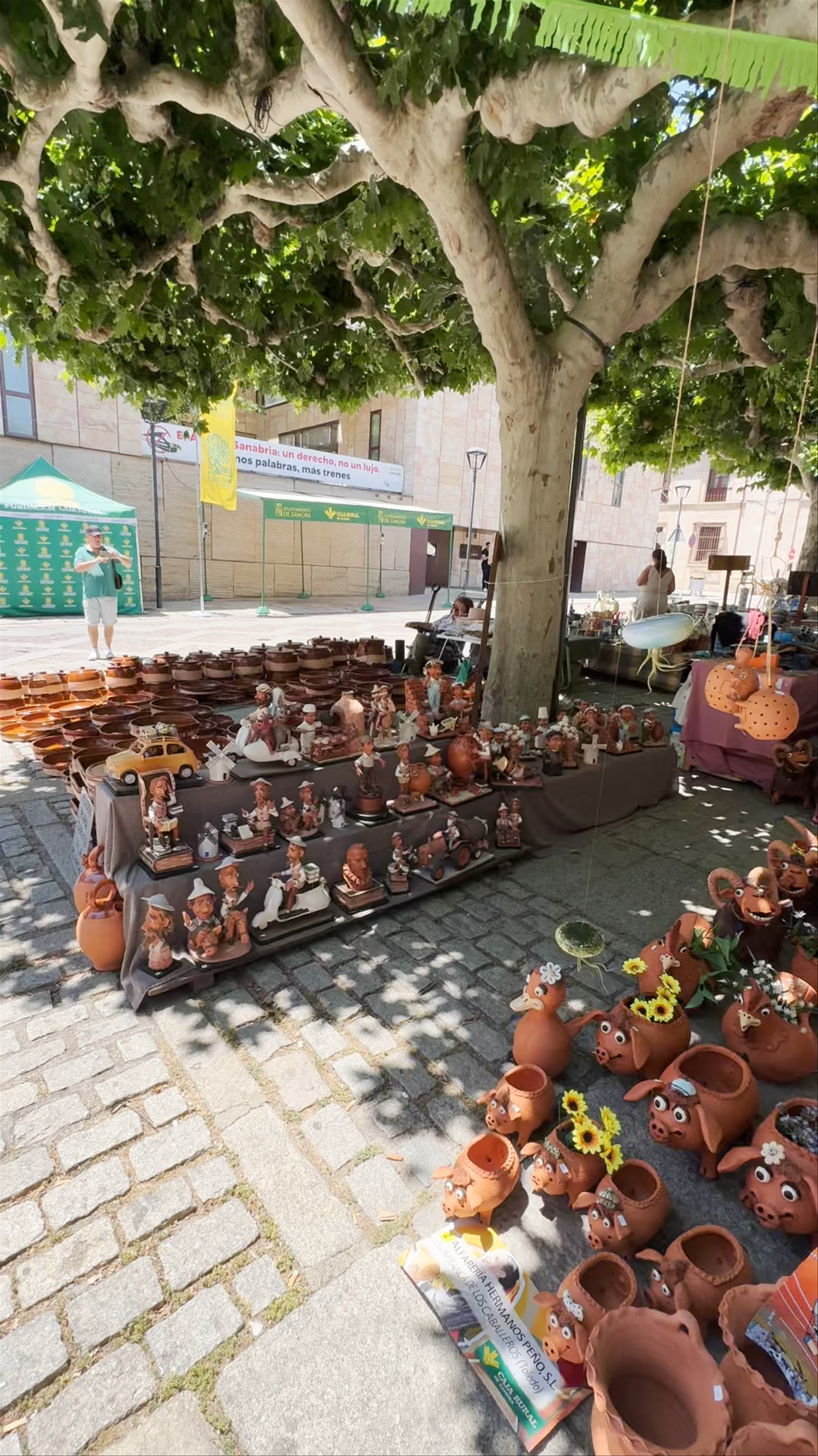 Vibrant Artisanal Market at Estatua de Viriato, Plaza Viriato, Zamora