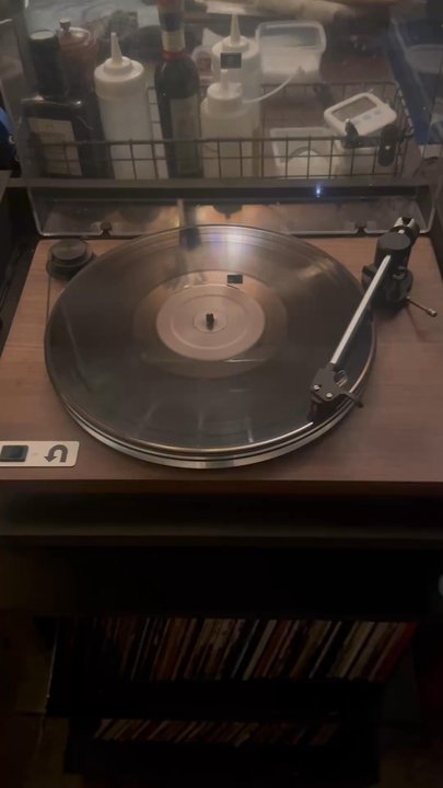 Apt 115 - Could The Swans be one of the best bands I've never heard of? - Wine Bars Near Me - Austin, Texas