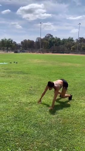 ADVANCED - body weight / animal flow circuit with sprints