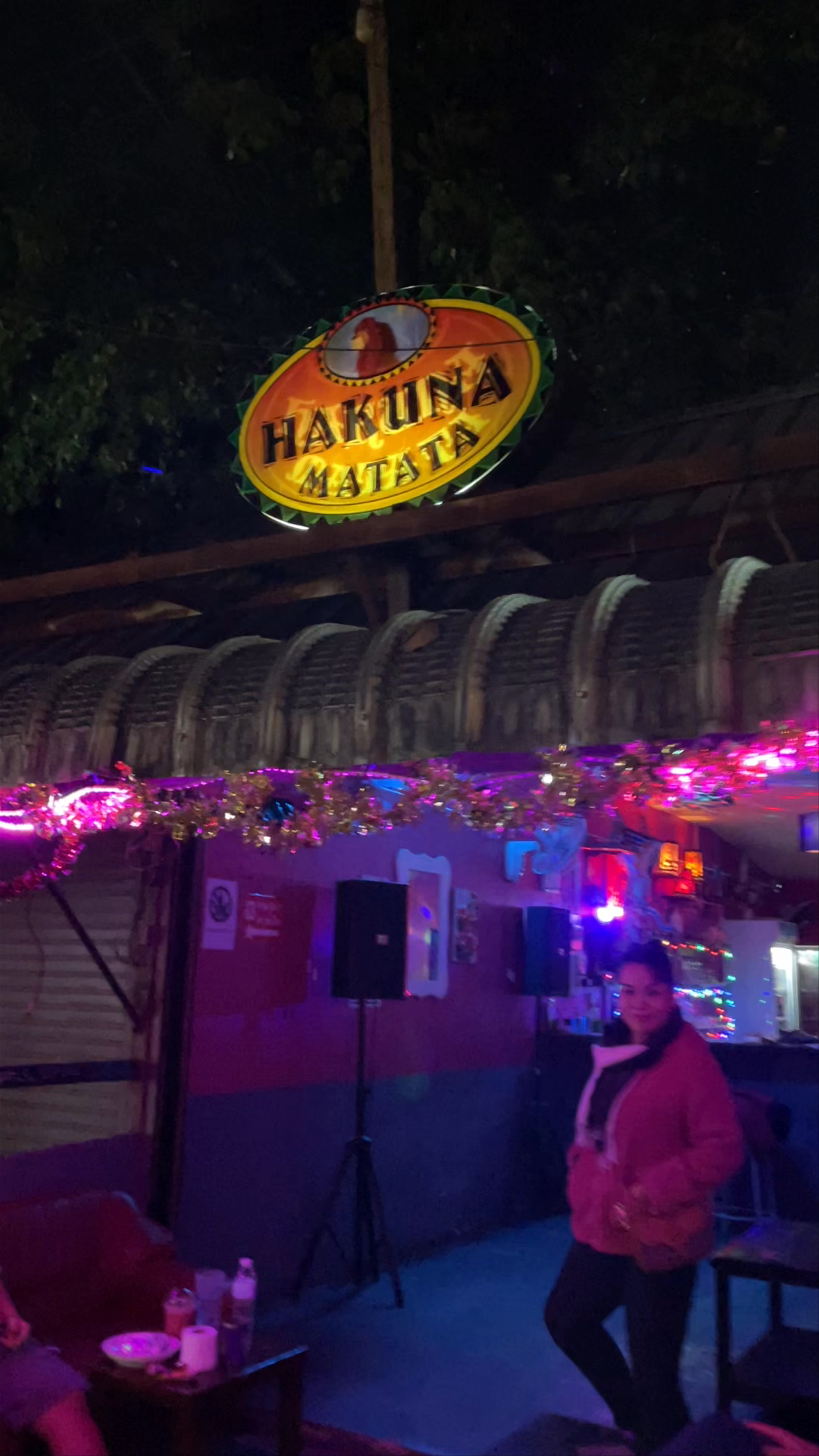 Hakuna Matata Bar: Cozy Nightlife Vibes in Chiang Mai
