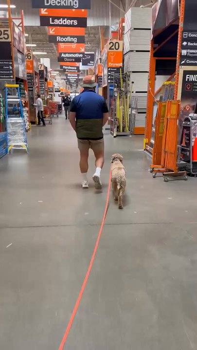 Everyday K9 Solutions - Dog walking off leash in Home Depot - Pet Training Near Me - Edmonds, Washington