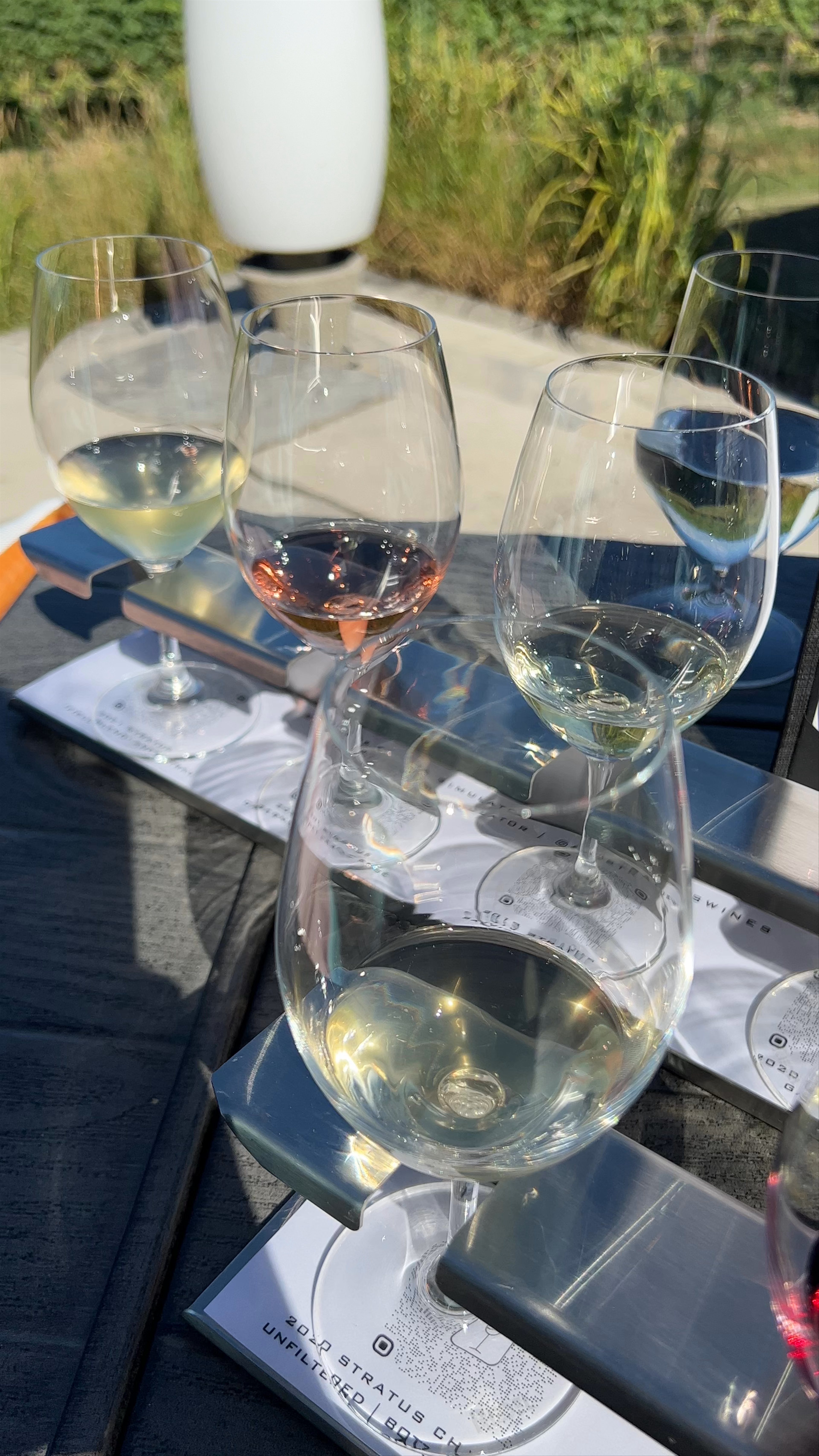 Stratus Vineyards