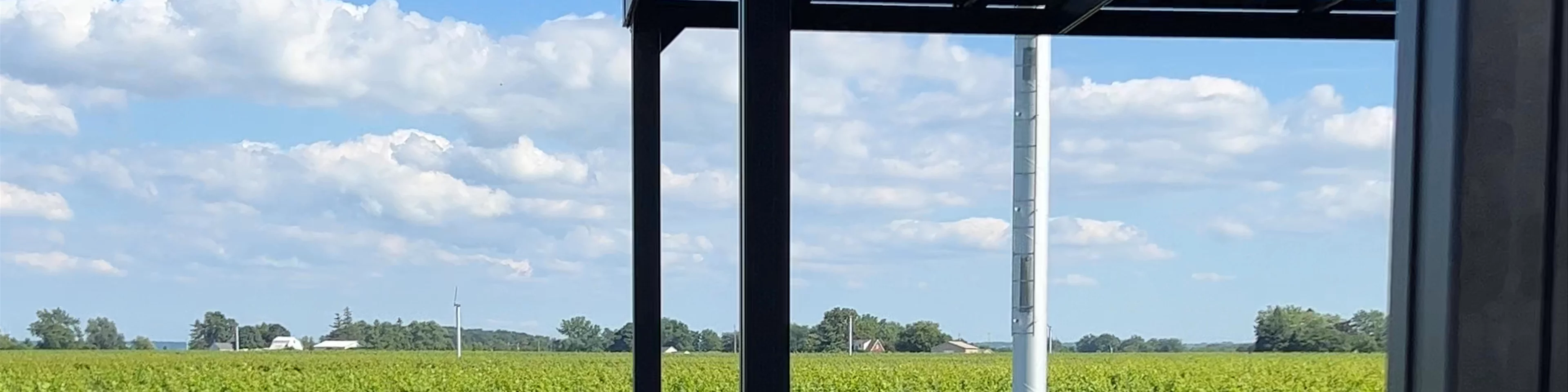 Stratus Vineyards