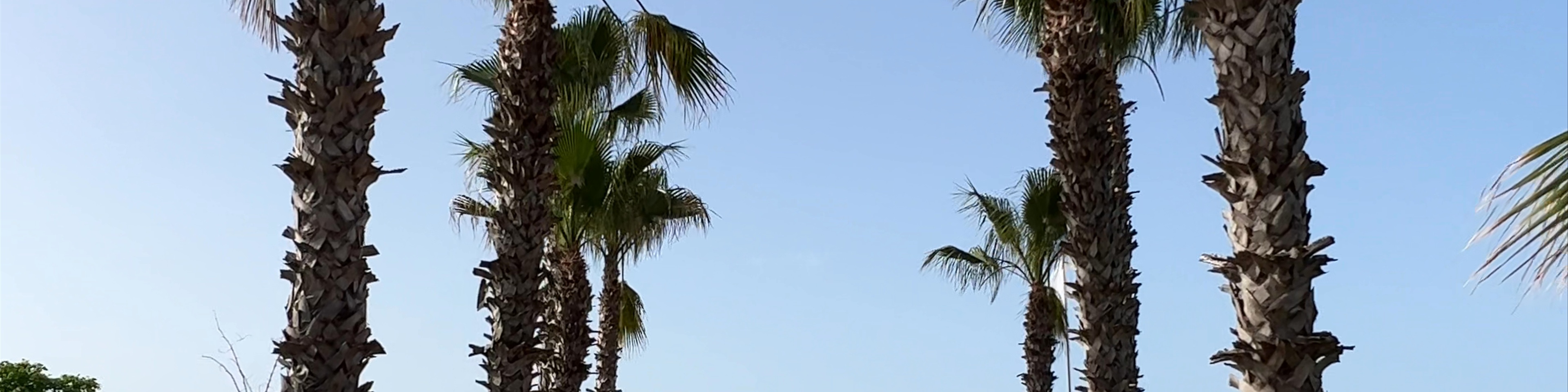 Antalya
