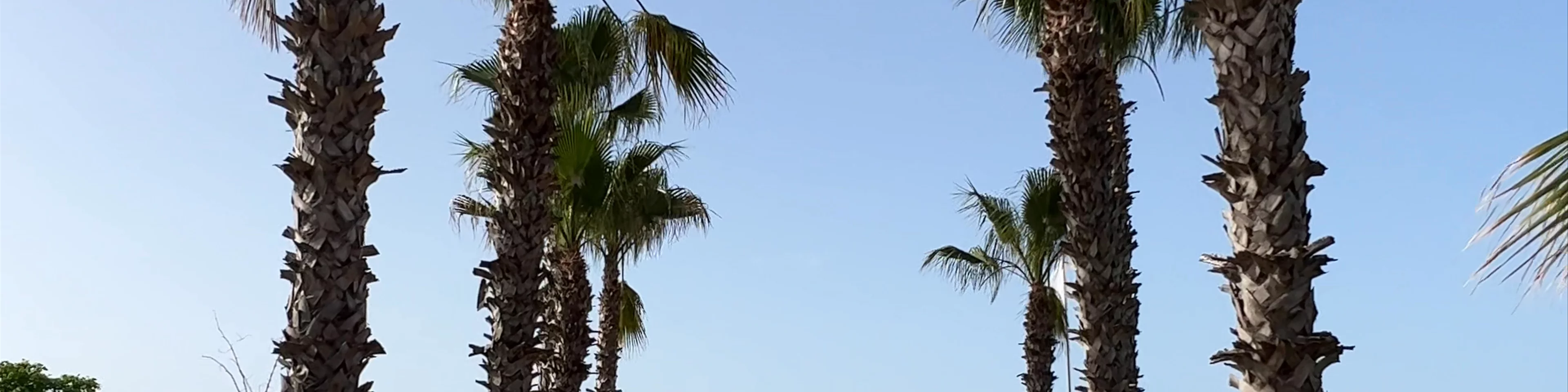 Belek