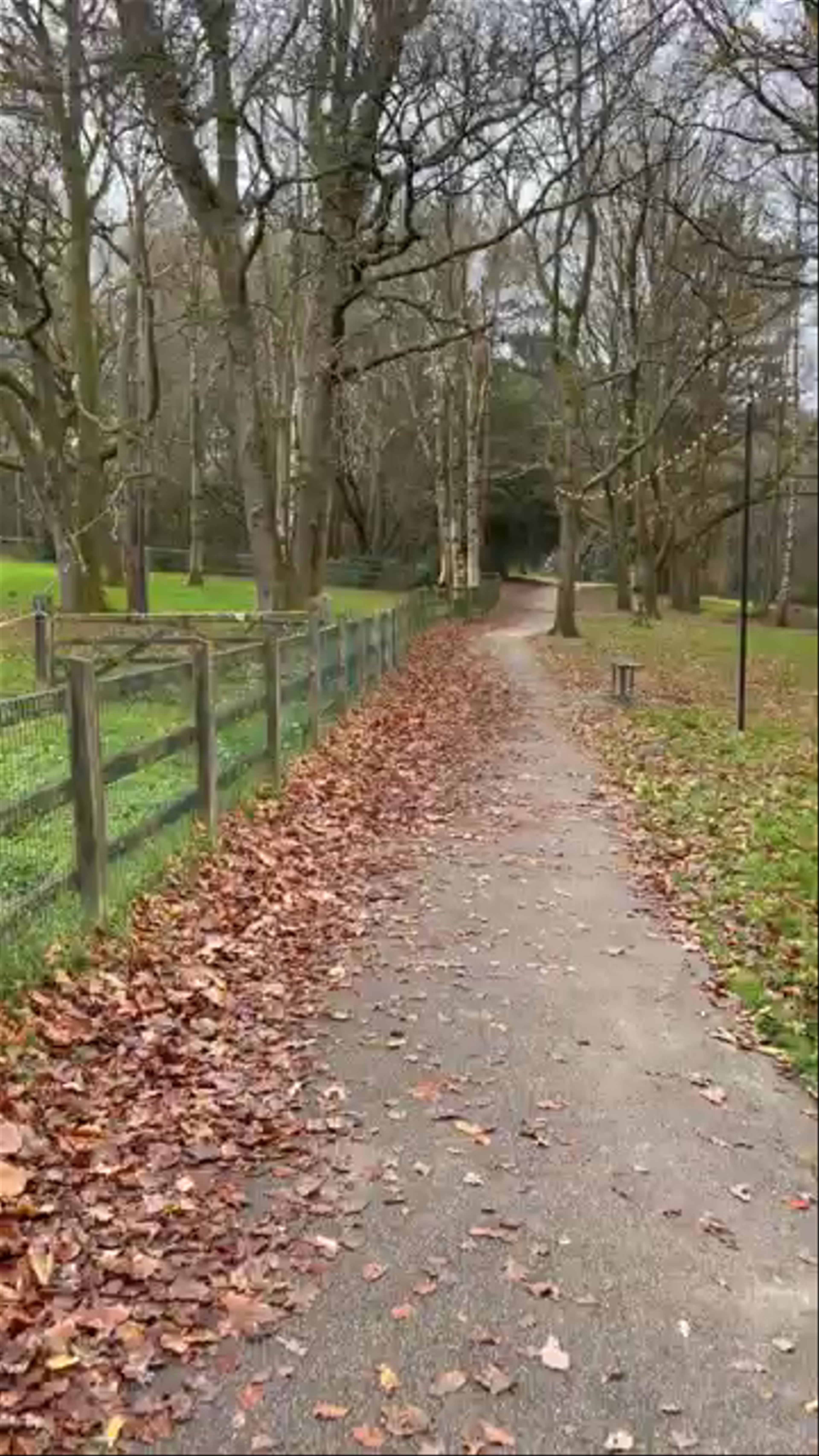 Tilgate Park