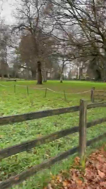 Tilgate Park