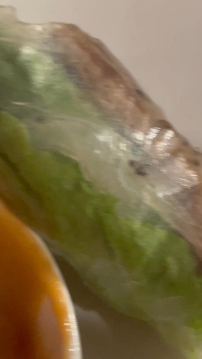 Pho Nguyen - Hair in my spring roll - Vietnamese Near Me - Houston, Texas