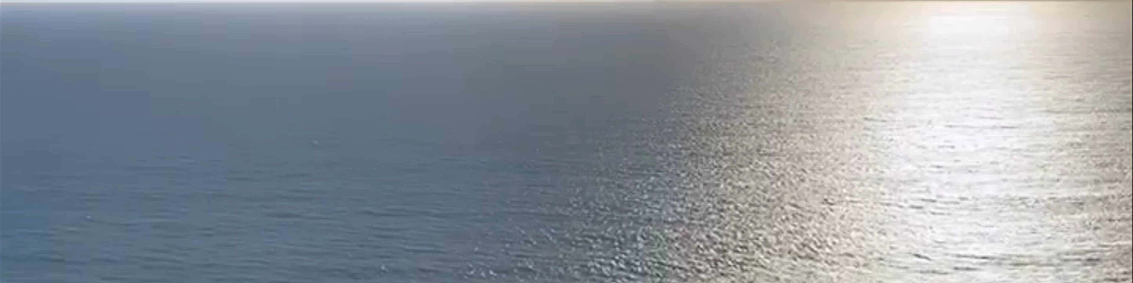Duxbury Reef