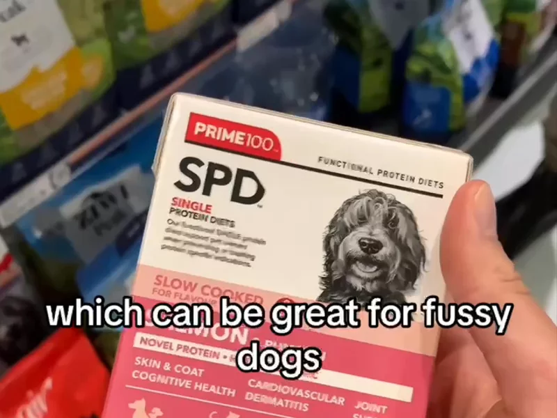 Dog UGC