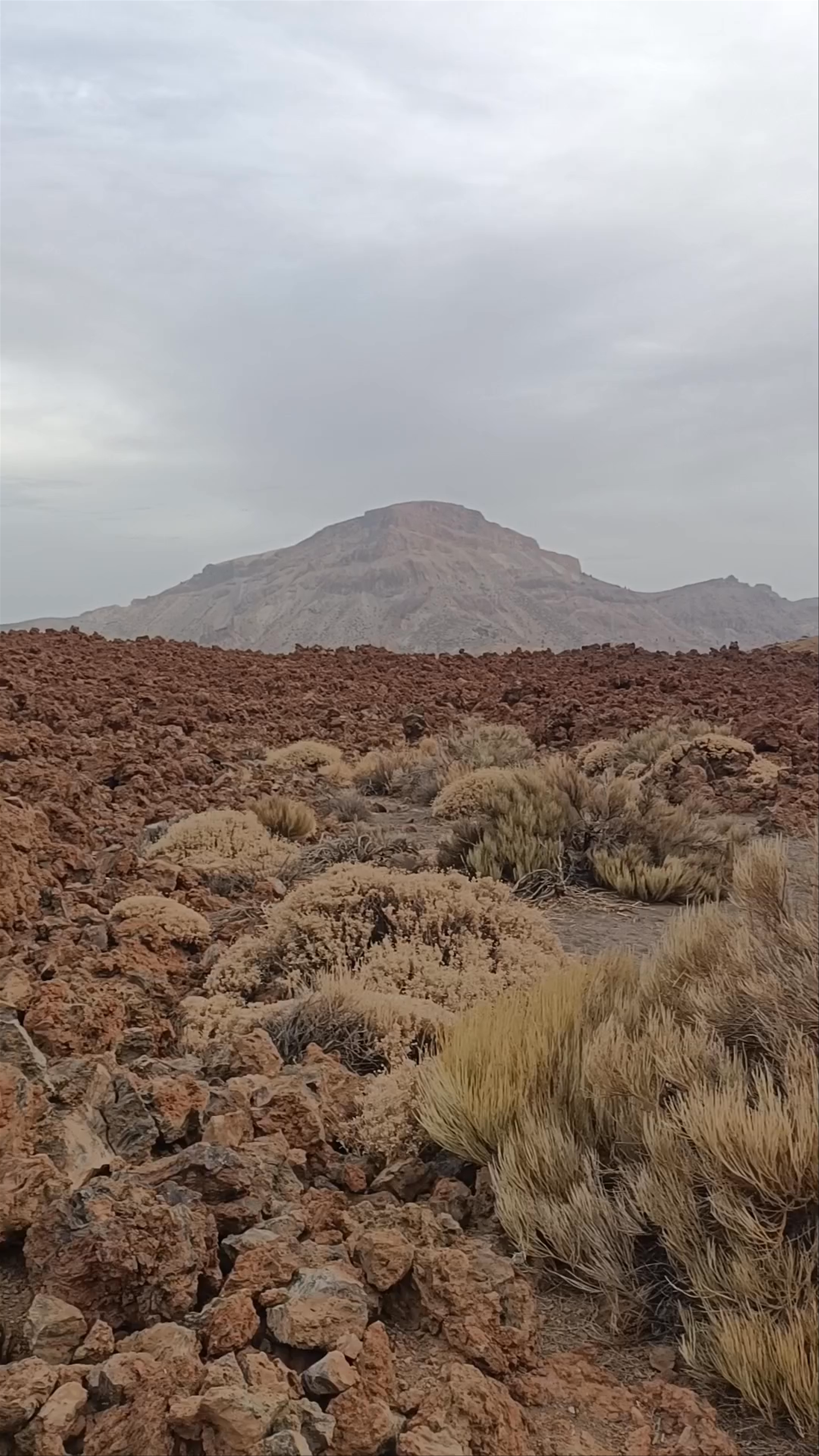 Mount Teide