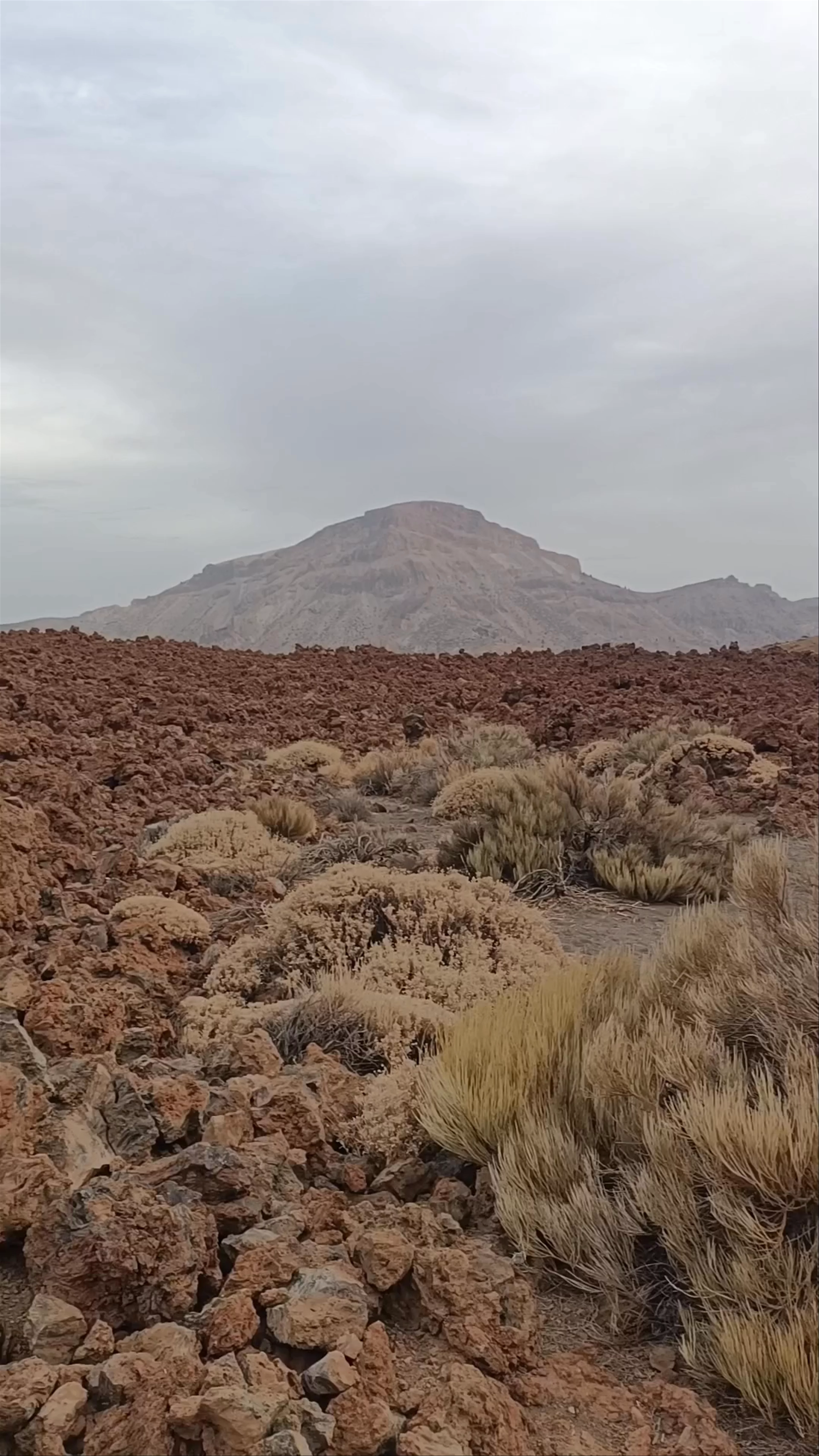 Mount Teide