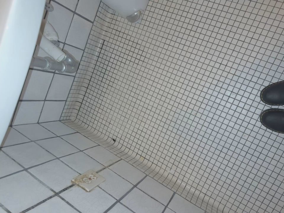 Bartaco Mosaic - Roaches in the woman's bathroom! I didn't notice until after I peed! - Tacos Near Me - Fairfax, Virginia