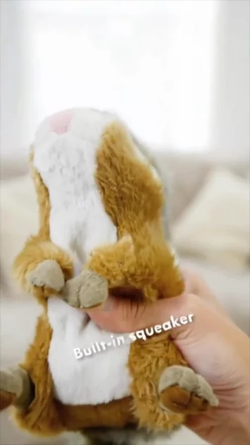 AFP Chipmunk Pet Toy 2 | UGC
