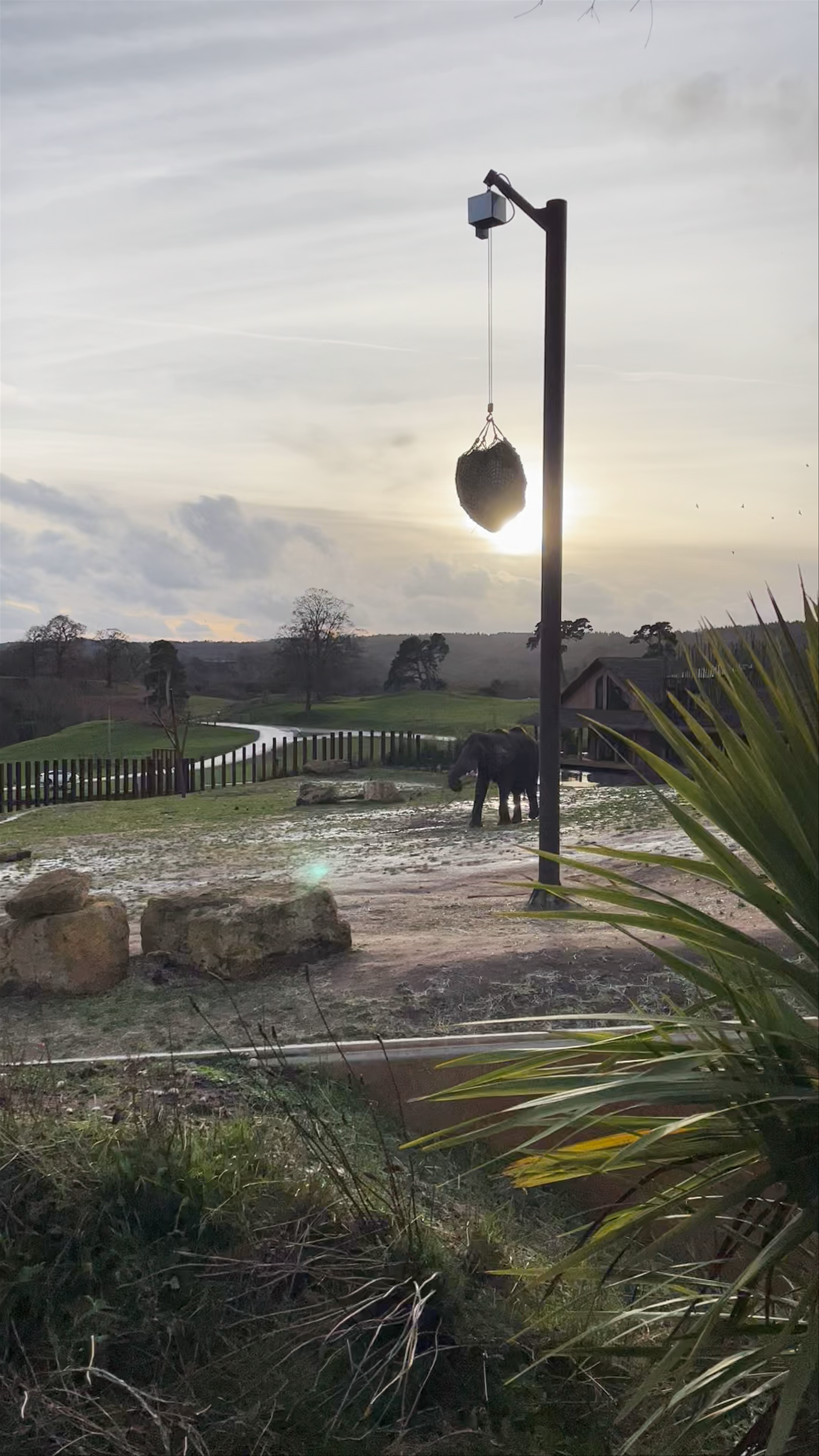 West Midland Safari Park