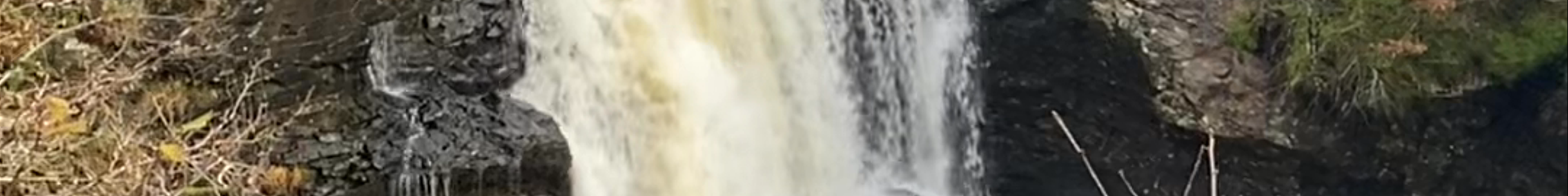 Tours & experiences in Garelochhead