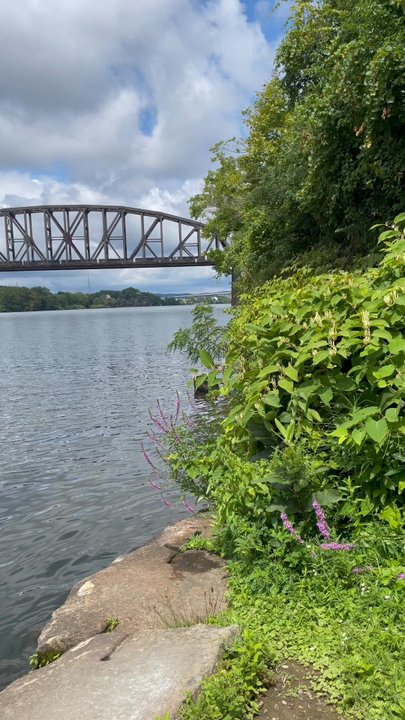 Three Rivers Heritage Trail - Greaf day for a stroll. The newly paved trail is so nice. - Hiking Near Me