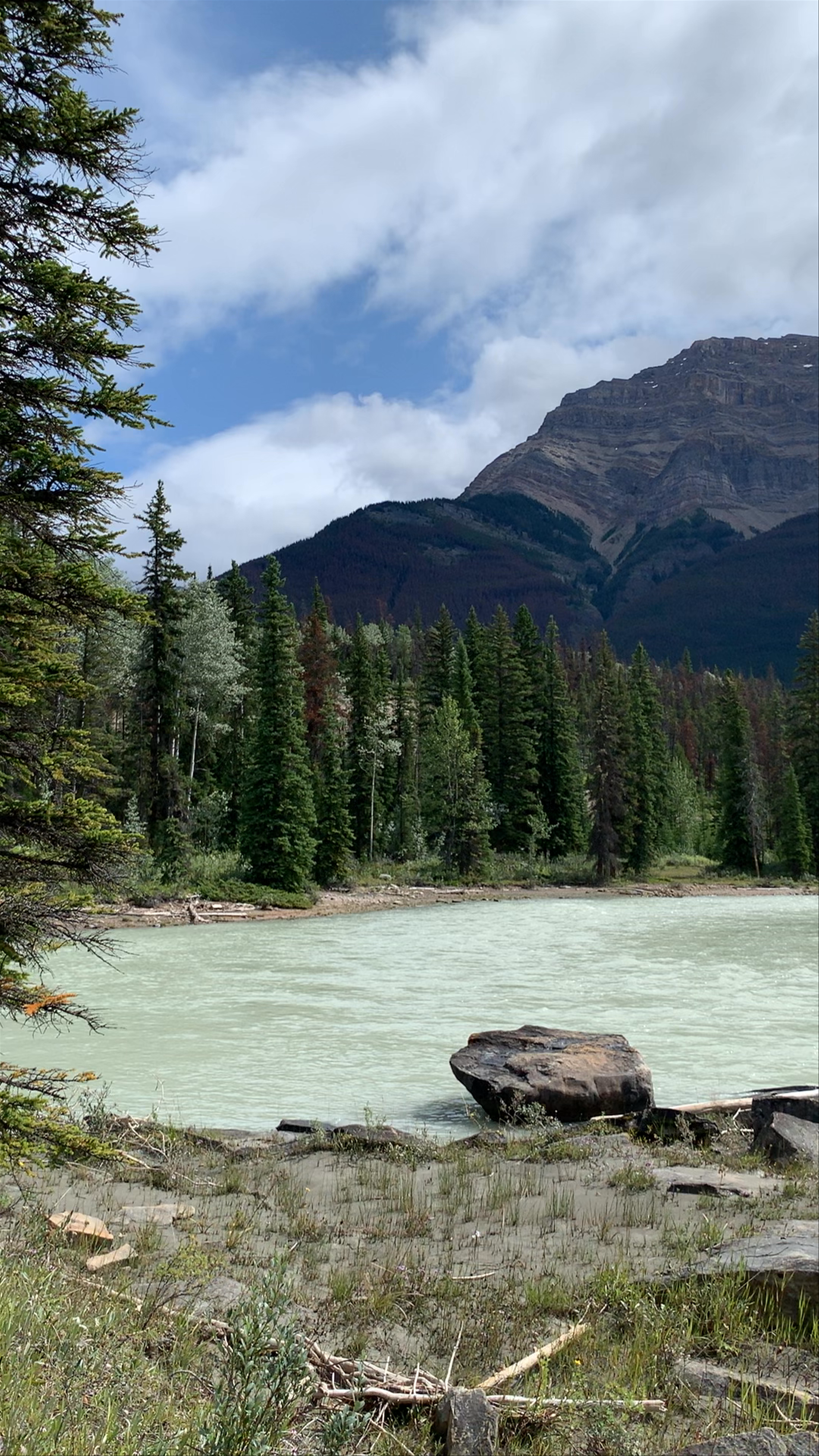 Athabasca Falls: Majestic Wilderness in Jasper National Park