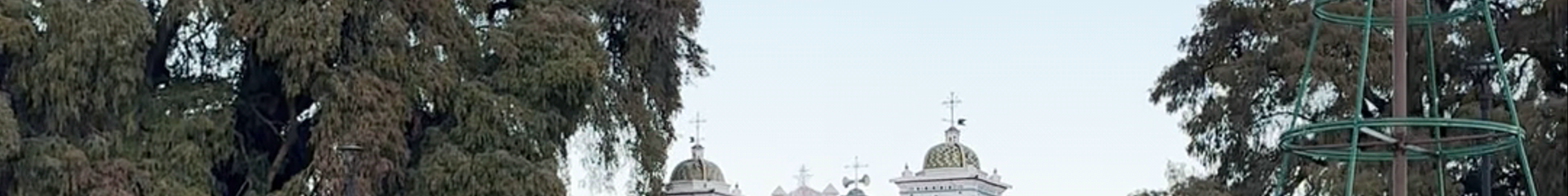 Tours & experiences in Santa María del Tule
