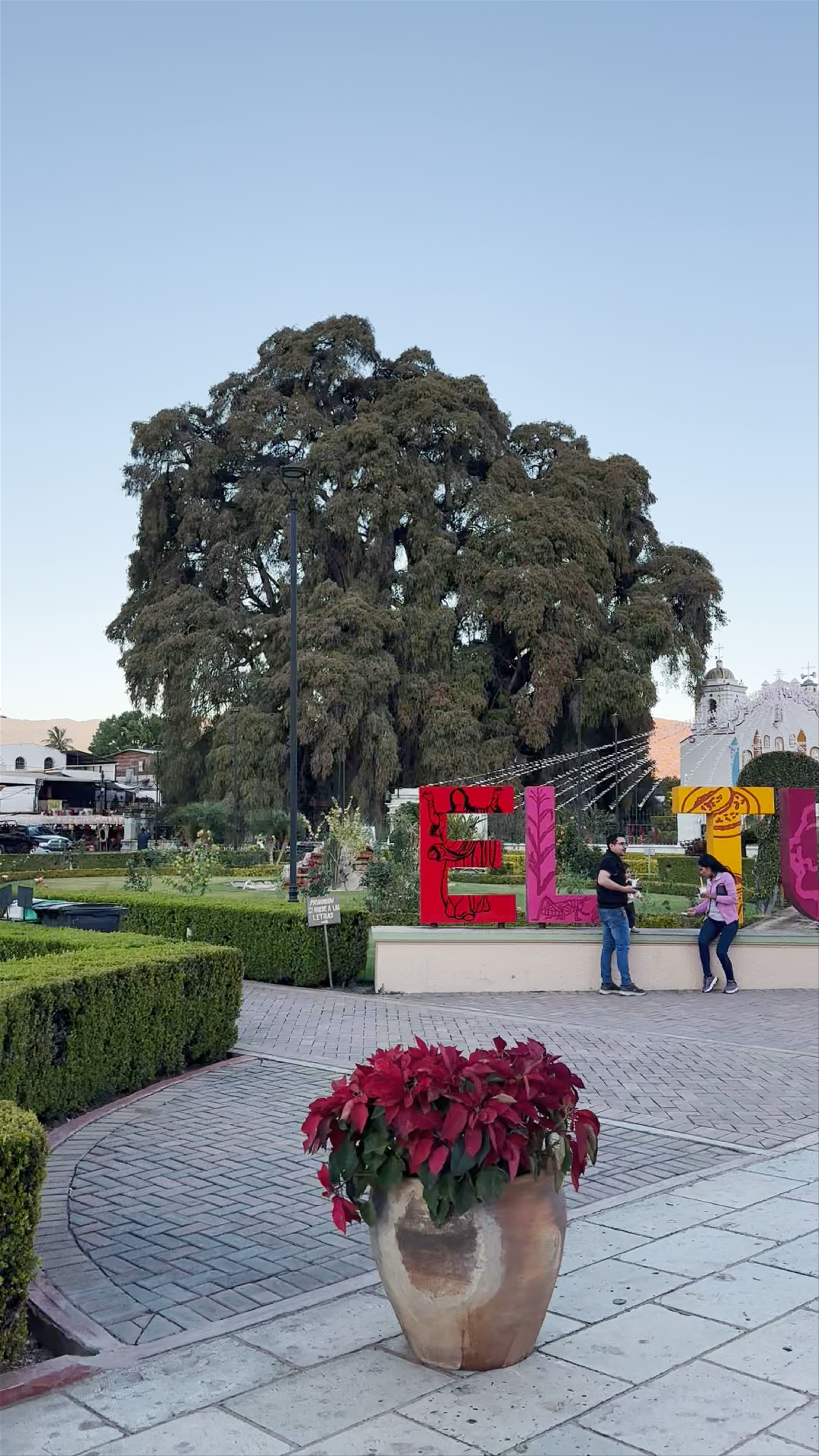 Letras Turísticas "El Tule"