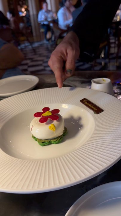 Musaafer - Love the care that goes into this beautiful dessert. So delicious. - Indian Near Me - Houston, Texas