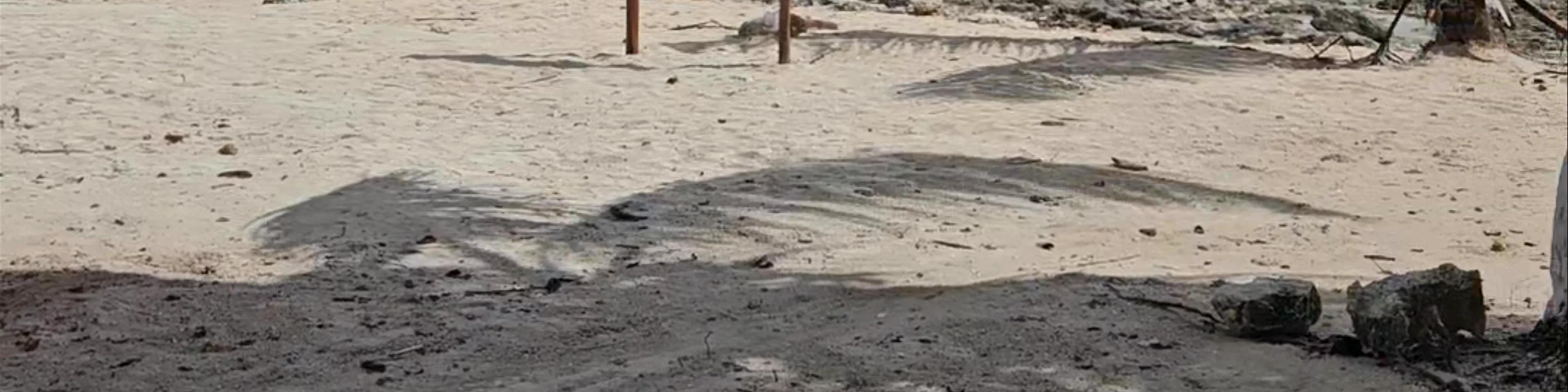 Mahahual Beach