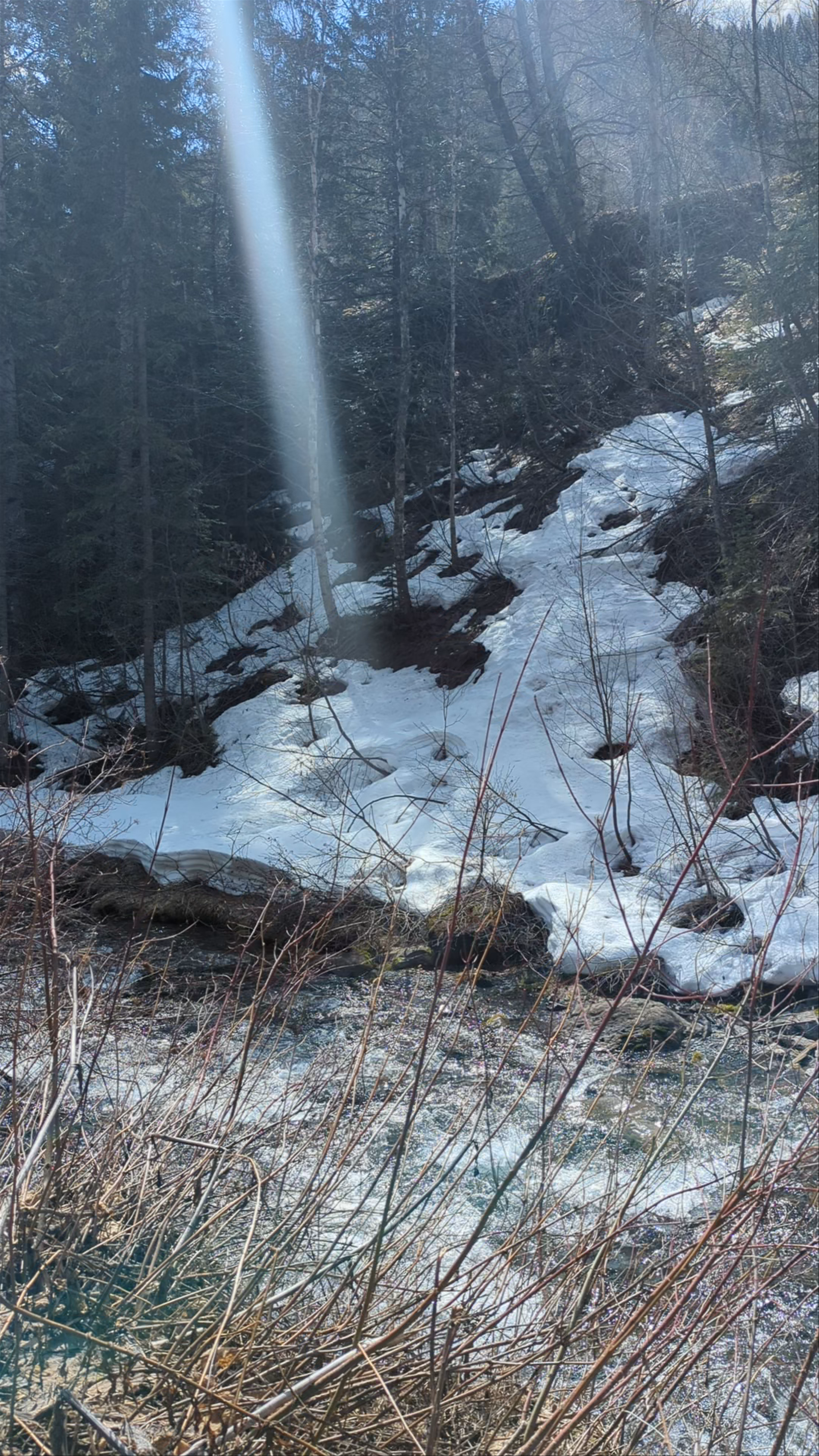 Fairy Creek Falls: A Tranquil Winter Escape in Fernie, British Columbia