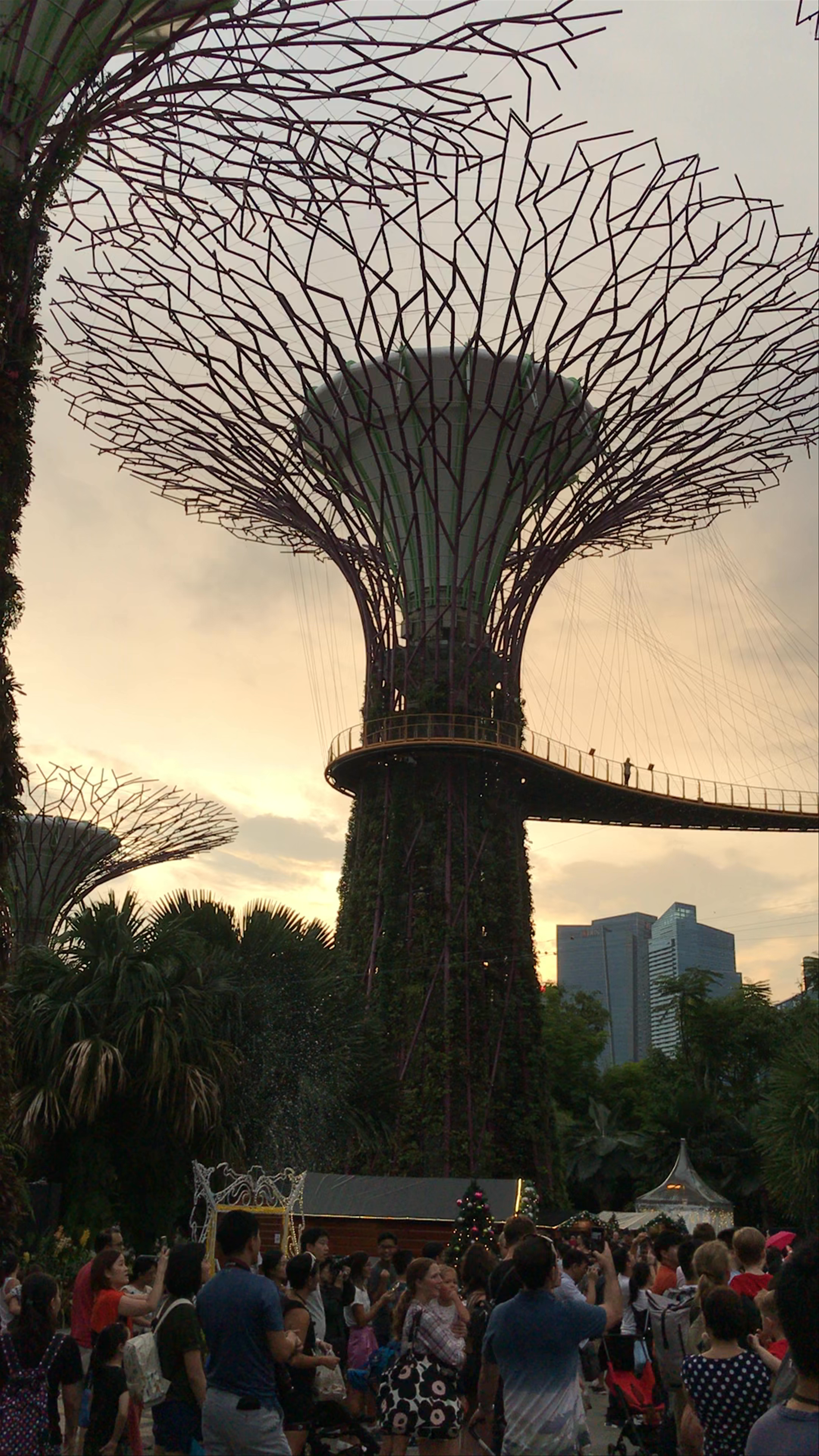 Twilight Crowds at Supertree Grove, Gardens by the Bay, Singapore
