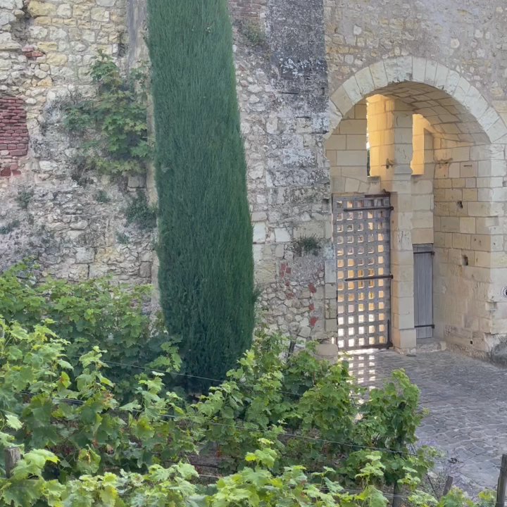 Château d'Amboise - Landmarks & Historical Buildings Near Me