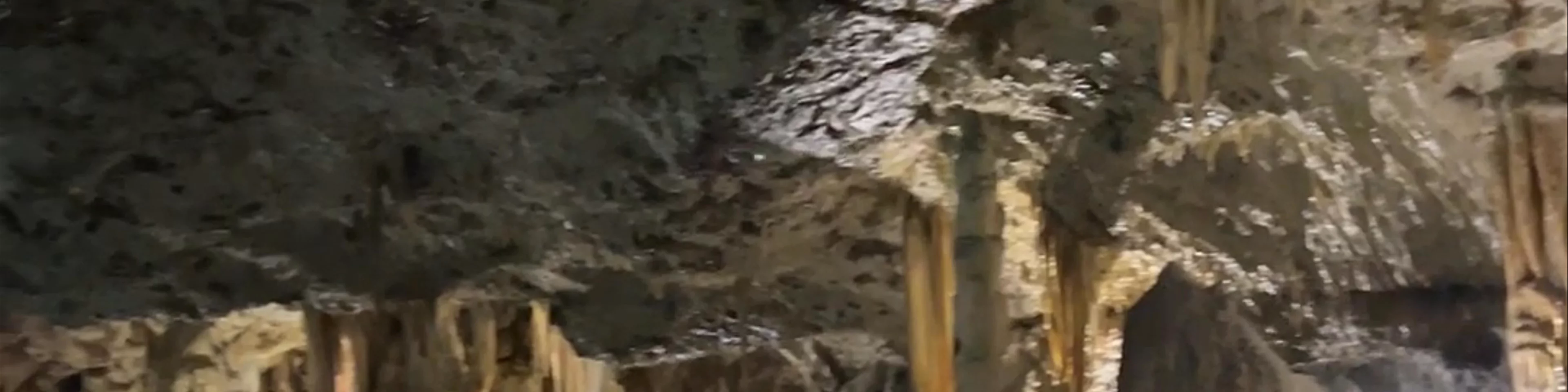 Punkva caves