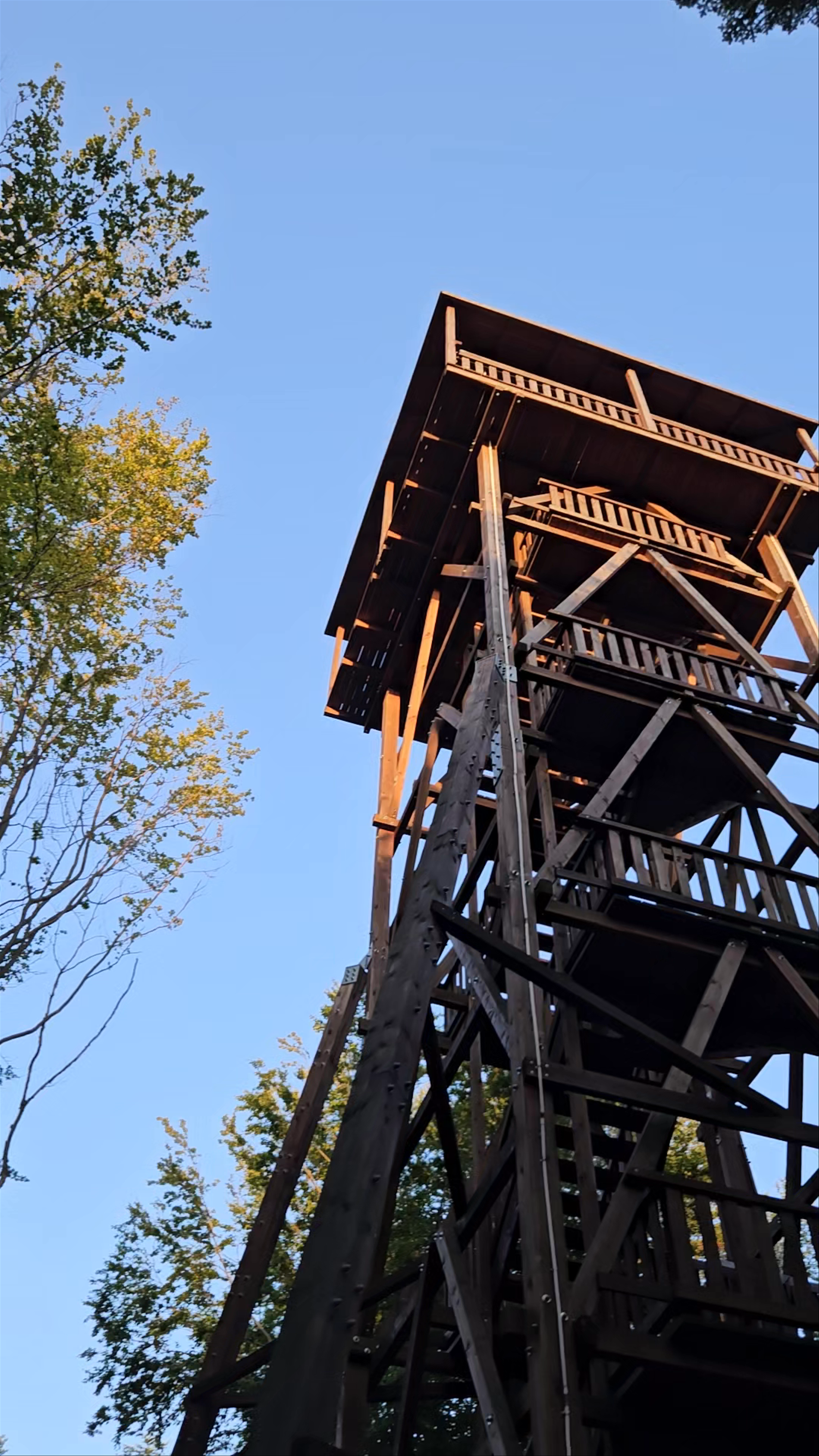 Wieża widokowa Ferdel