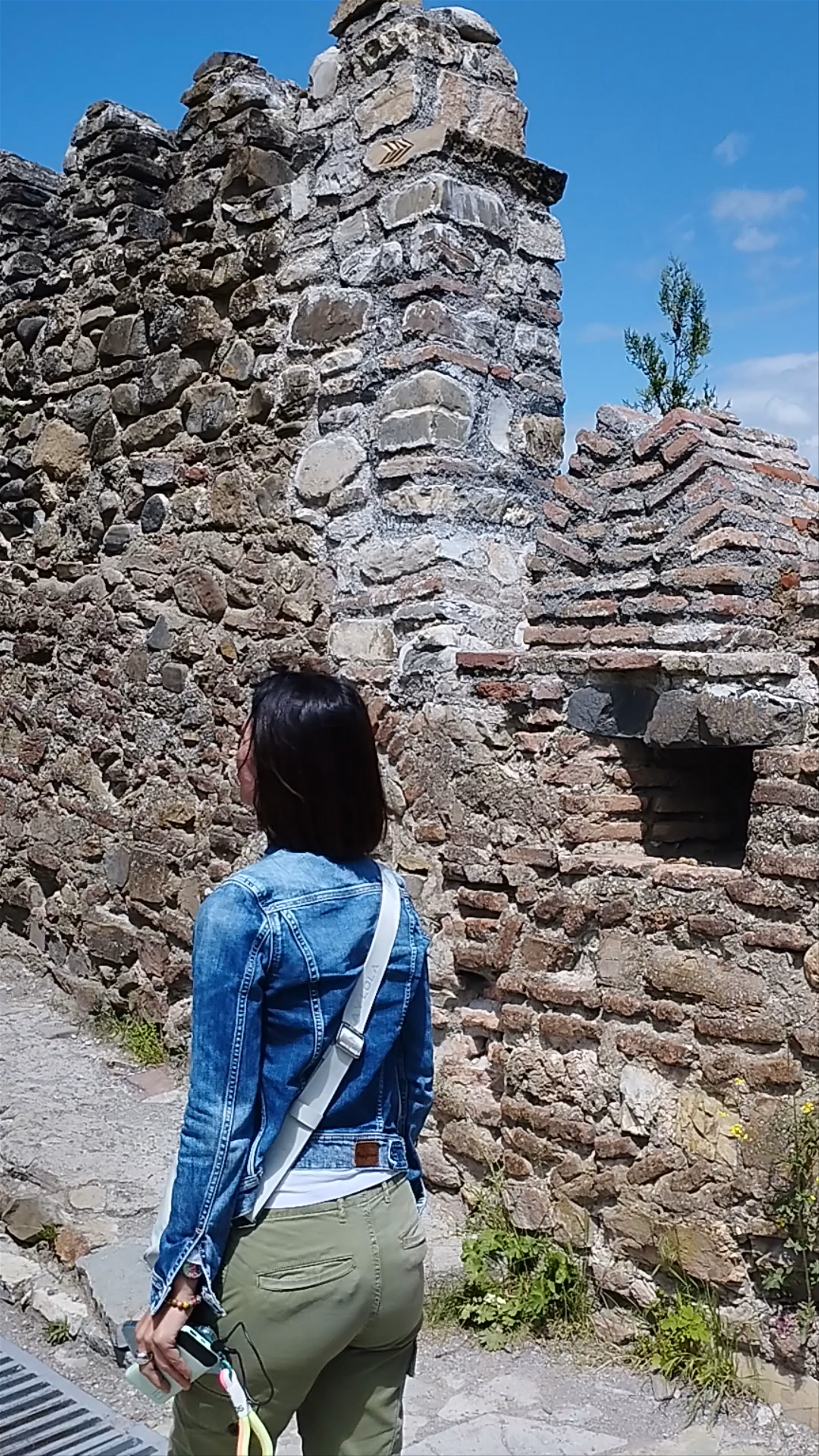 Ananuri Fortress Complex