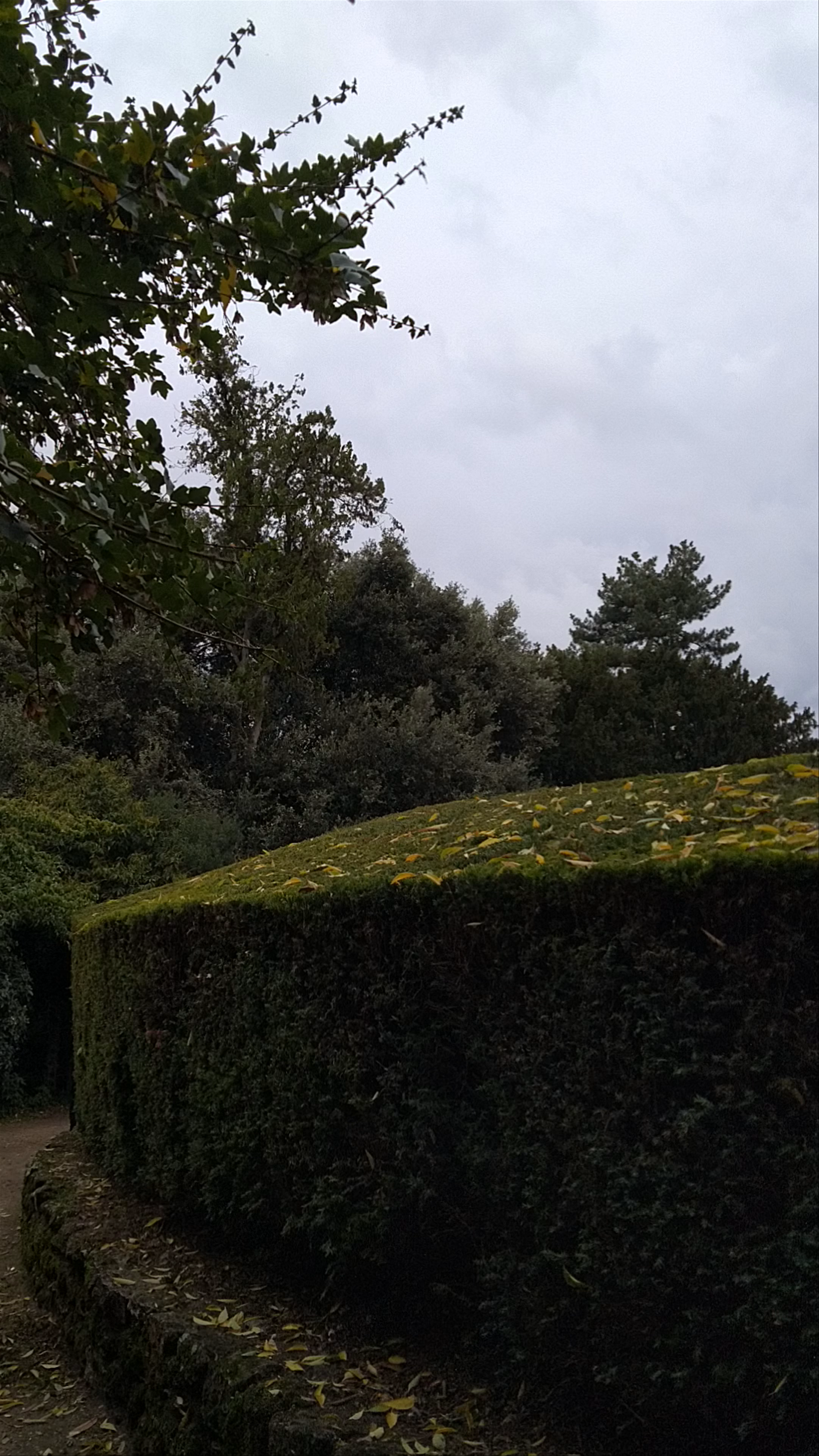 Explore Gloriette de Buffon: A Hidden Green Haven in Paris