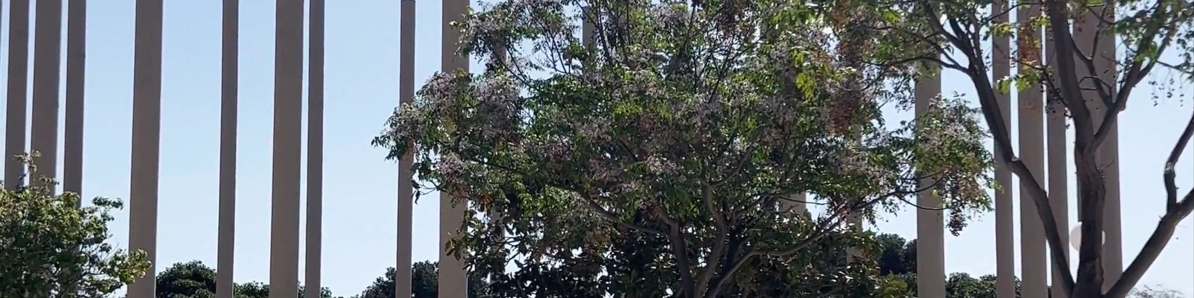 Parque Lo Torrent