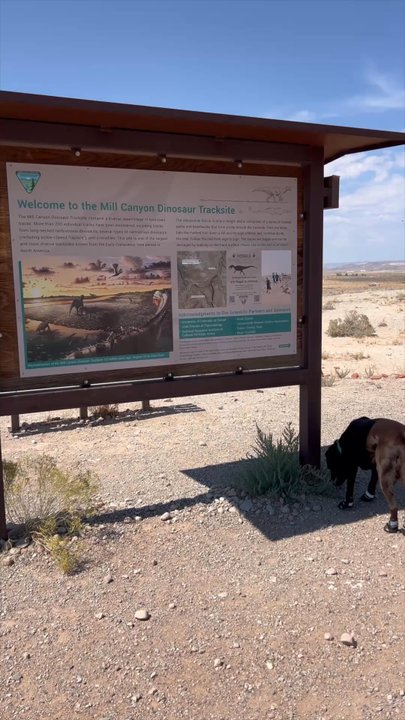 Mill Canyon Dinosaur Tracksite - Hiking Near Me - Moab, Utah